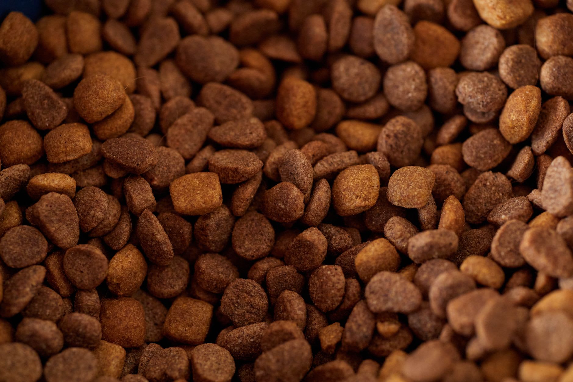 What Company Owns Jinx Dog Food