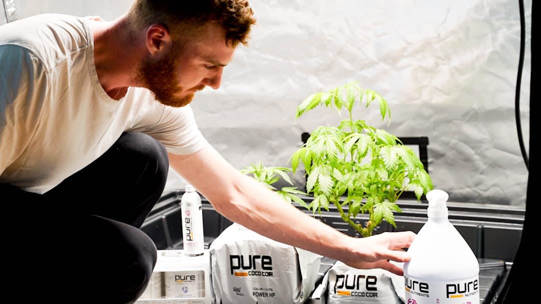 What Company Owns Pure Encapsulations