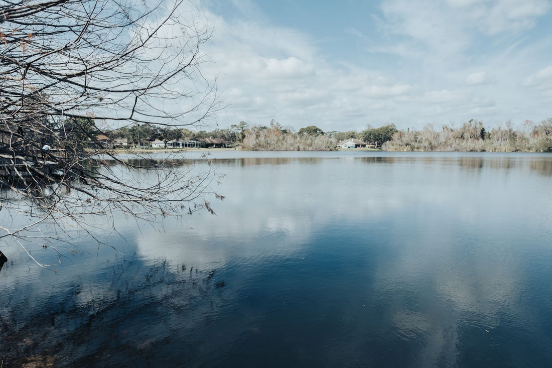 What Company Owns Zephyrhills Water