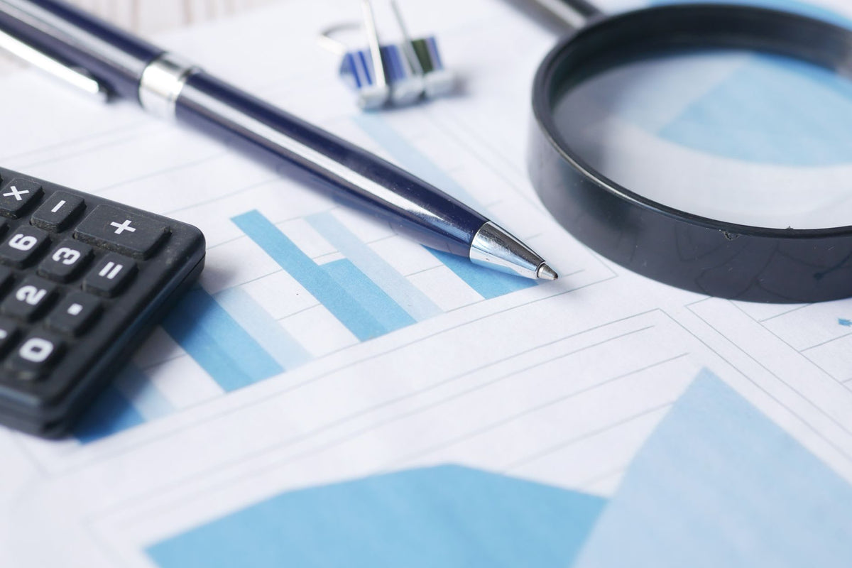 What Makes A Business Get Audited