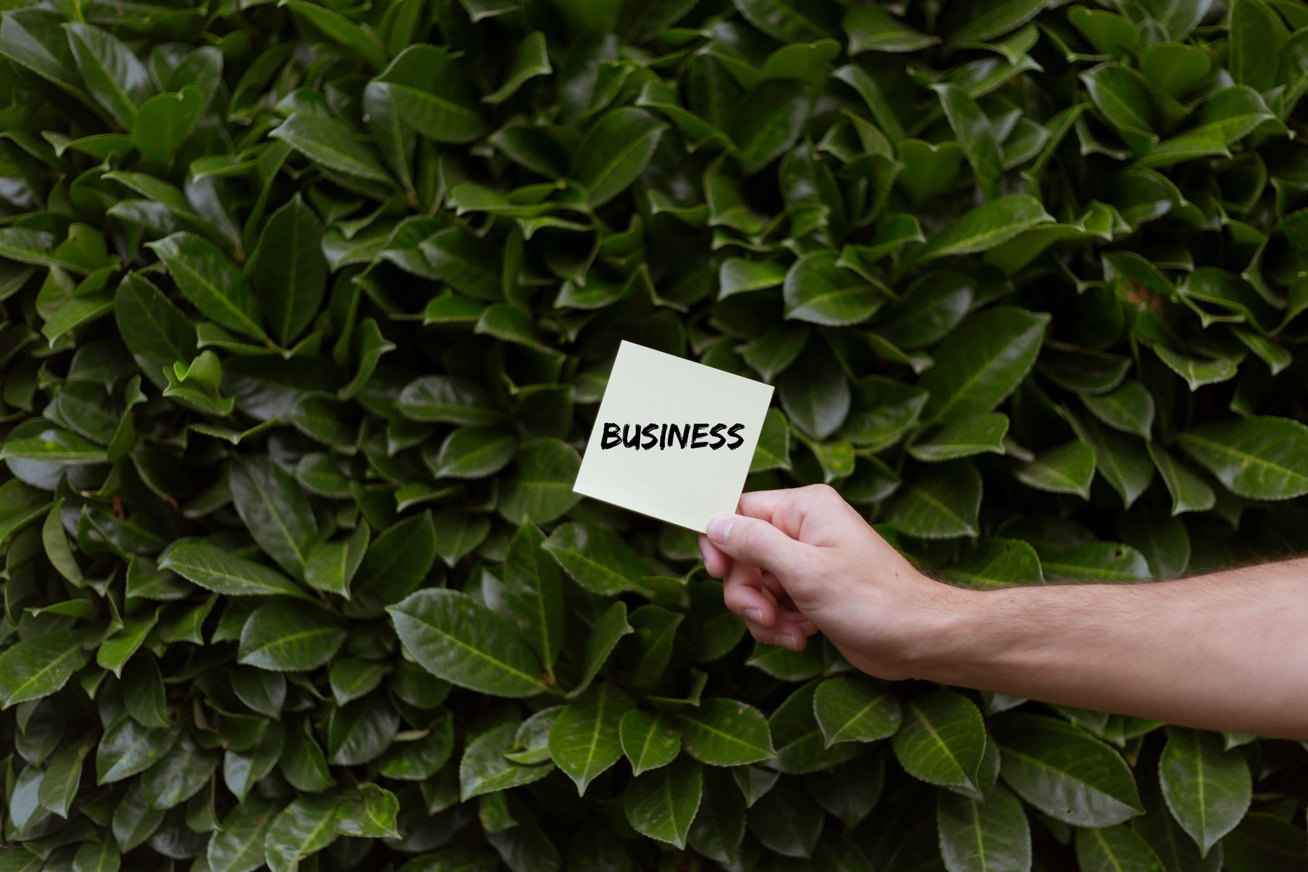 What Makes A Business Green